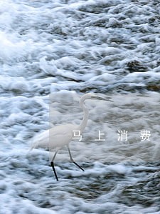 马上消费金融逾期100天 马上消费金融逾期100天