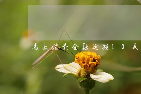 马上消费金融逾期10天 马上消费金融逾期10天