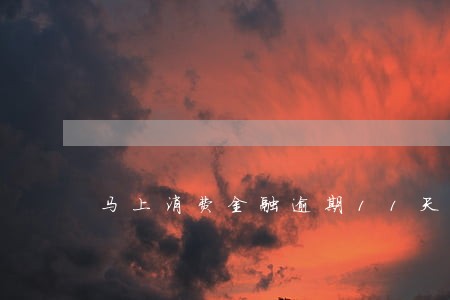 马上消费金融逾期11天