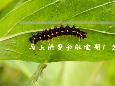 马上消费金融逾期1200 马上消费金融逾期1200