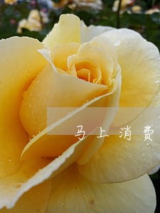 马上消费金融逾期15 马上消费金融逾期15