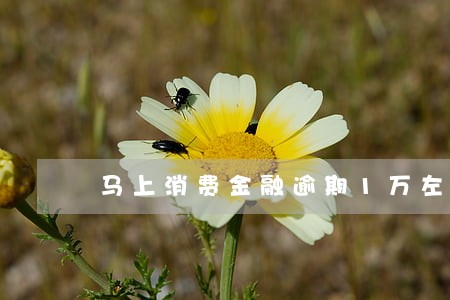 马上消费金融逾期1万左右 马上消费金融逾期1万左右