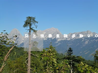 马上消费金融逾期20天怎么样 马上消费金融逾期20天怎么样