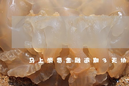 马上消费金融逾期3天协商 马上消费金融逾期3天协商
