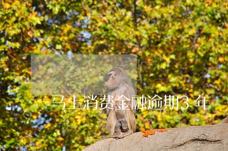 马上消费金融逾期3年
