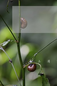 马上消费金融逾期5000 马上消费金融逾期5000