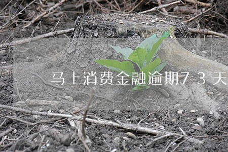 马上消费金融逾期73天 马上消费金融逾期73天