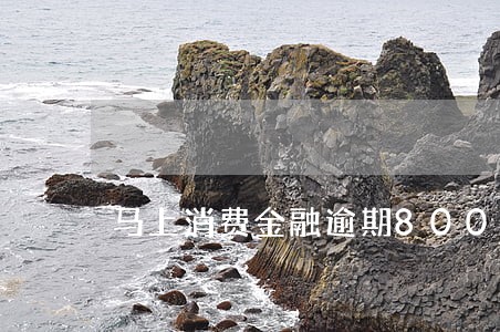 马上消费金融逾期800半年多