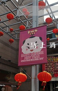 马上消费金融逾期9个月 马上消费金融逾期9个月