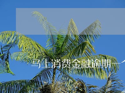 马上消费金融逾期一个月怎么办