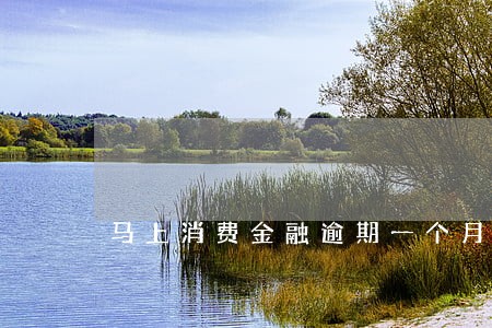 马上消费金融逾期一个月怎么还