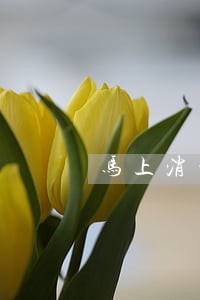 马上消费金融逾期一天有影响吗 马上消费金融逾期一天有影响吗