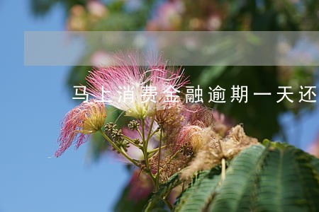 马上消费金融逾期一天还款 马上消费金融逾期一天还款