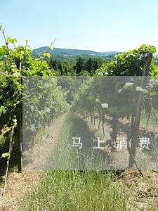 马上消费金融逾期七天上征信吗 马上消费金融逾期七天上征信吗