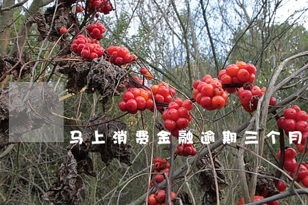 马上消费金融逾期三个月说要起诉 马上消费金融逾期三个月说要起诉