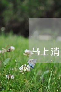 马上消费金融逾期上征信 马上消费金融逾期上征信