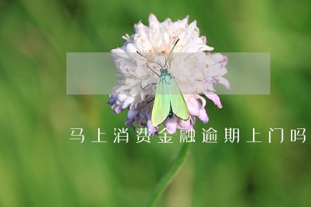马上消费金融逾期上门吗 马上消费金融逾期上门吗