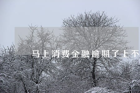 马上消费金融逾期了上不上征信 马上消费金融逾期了上不上征信