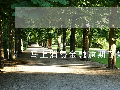 马上消费金融逾期了如何偿还 马上消费金融逾期了如何偿还
