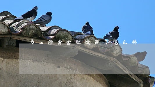 马上消费金融逾期了怎么样 马上消费金融逾期了怎么样