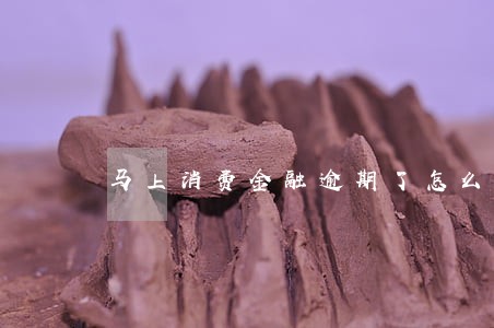 马上消费金融逾期了怎么还回本金 马上消费金融逾期了怎么还回本金