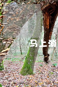 马上消费金融逾期了说报警了 马上消费金融逾期了说报警了
