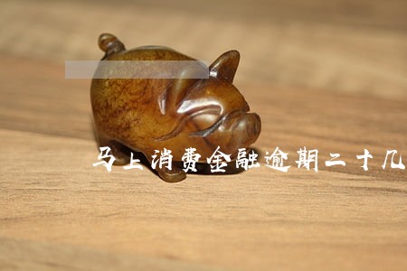 马上消费金融逾期二十几天 马上消费金融逾期二十几天