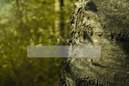 马上消费金融逾期五万 马上消费金融逾期五万