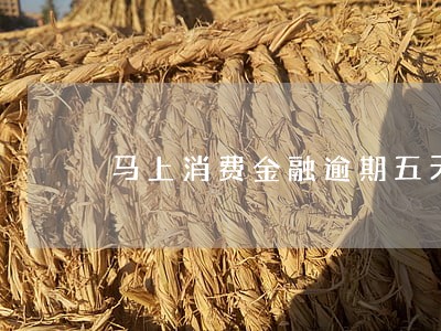 马上消费金融逾期五天了会加钱吗 马上消费金融逾期五天了会加钱吗