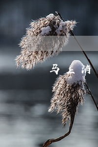马上消费金融逾期交流群 马上消费金融逾期交流群