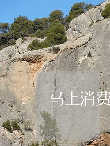 马上消费金融逾期会上失信名单吗 马上消费金融逾期会上失信名单吗