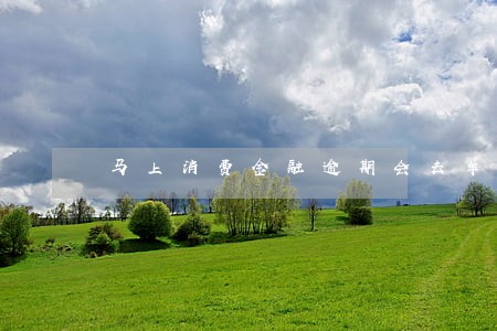 马上消费金融逾期会去单位吗