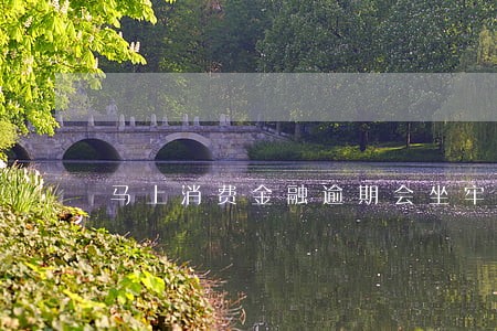 马上消费金融逾期会坐牢