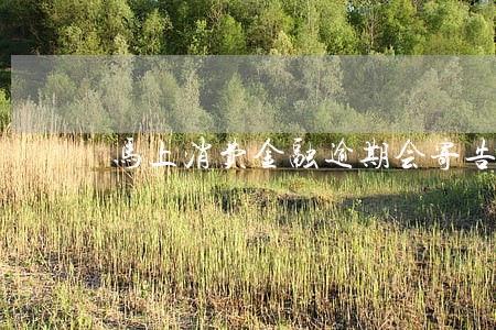 马上消费金融逾期会寄告知书 马上消费金融逾期会寄告知书
