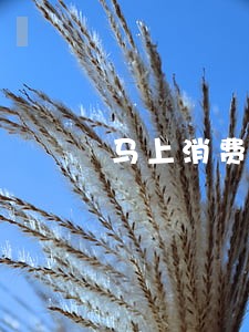 马上消费金融逾期会影响子女吗 马上消费金融逾期会影响子女吗