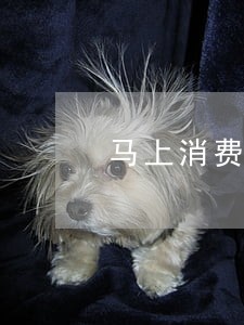 马上消费金融逾期会影响社保吗 马上消费金融逾期会影响社保吗