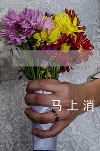 马上消费金融逾期保险代偿 马上消费金融逾期保险代偿