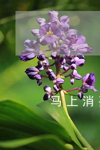 马上消费金融逾期八天 马上消费金融逾期八天