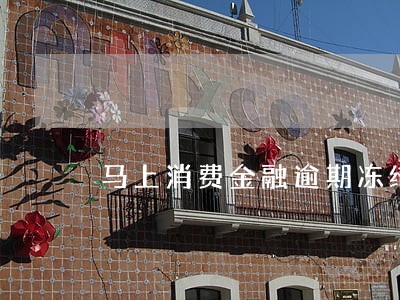 马上消费金融逾期冻结所有财产