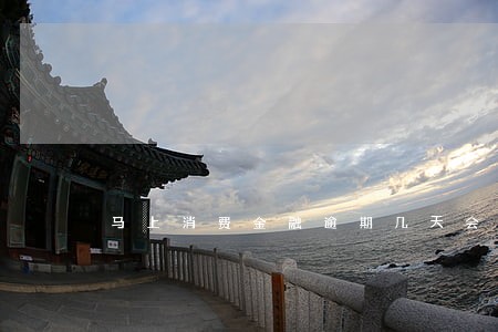马上消费金融逾期几天会爆