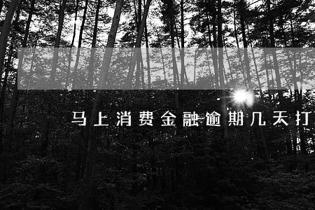 马上消费金融逾期几天打电话 马上消费金融逾期几天打电话