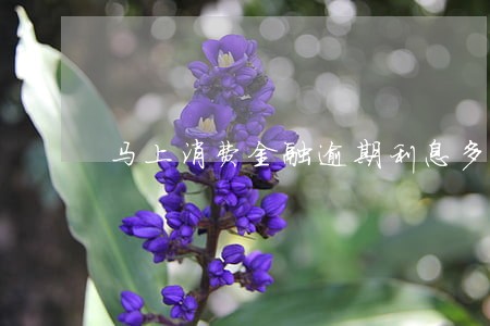 马上消费金融逾期利息多少钱