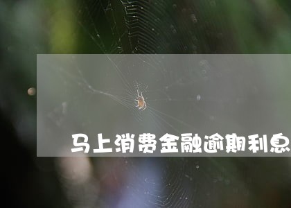 马上消费金融逾期利息怎样算 马上消费金融逾期利息怎样算