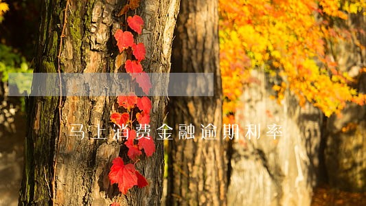 马上消费金融逾期利率 马上消费金融逾期利率