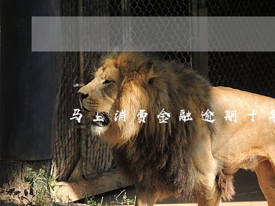 马上消费金融逾期十年 马上消费金融逾期十年
