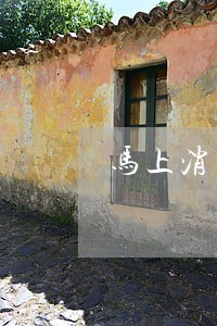 马上消费金融逾期发短信告上法庭 马上消费金融逾期发短信告上法庭