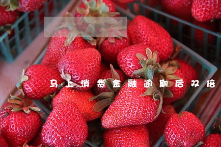 马上消费金融逾期后双倍 马上消费金融逾期后双倍