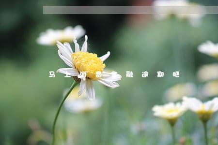 马上消费金融逾期吧