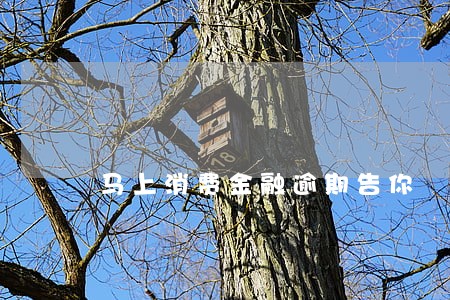 马上消费金融逾期告你 马上消费金融逾期告你