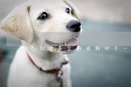 马上消费金融逾期四千一年 马上消费金融逾期四千一年